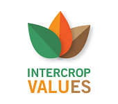 INTERCROPVALUES