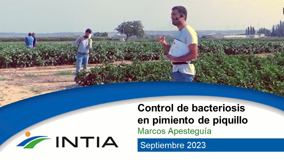bacteriosis