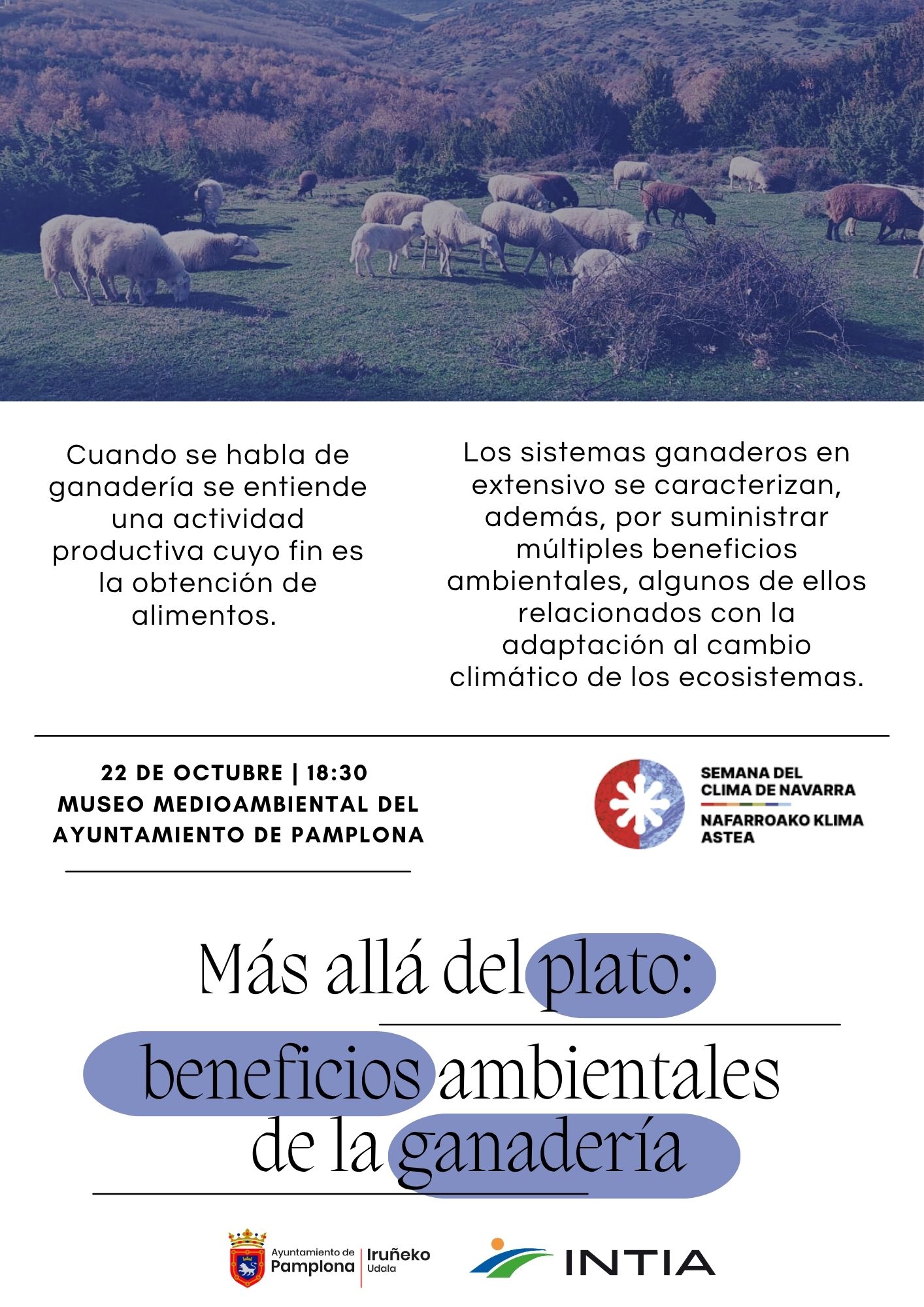 más allá del plato