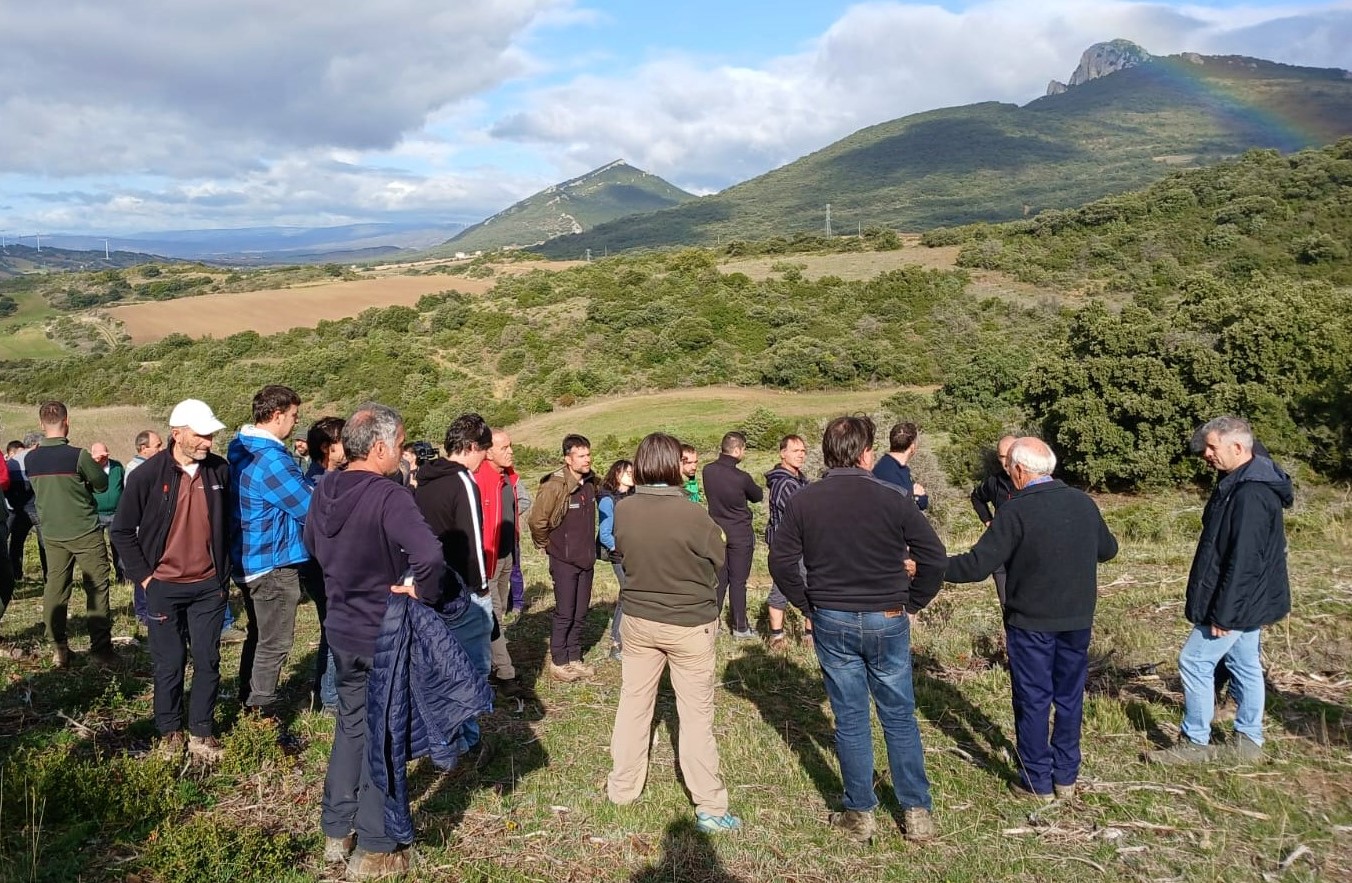 visita oloriz