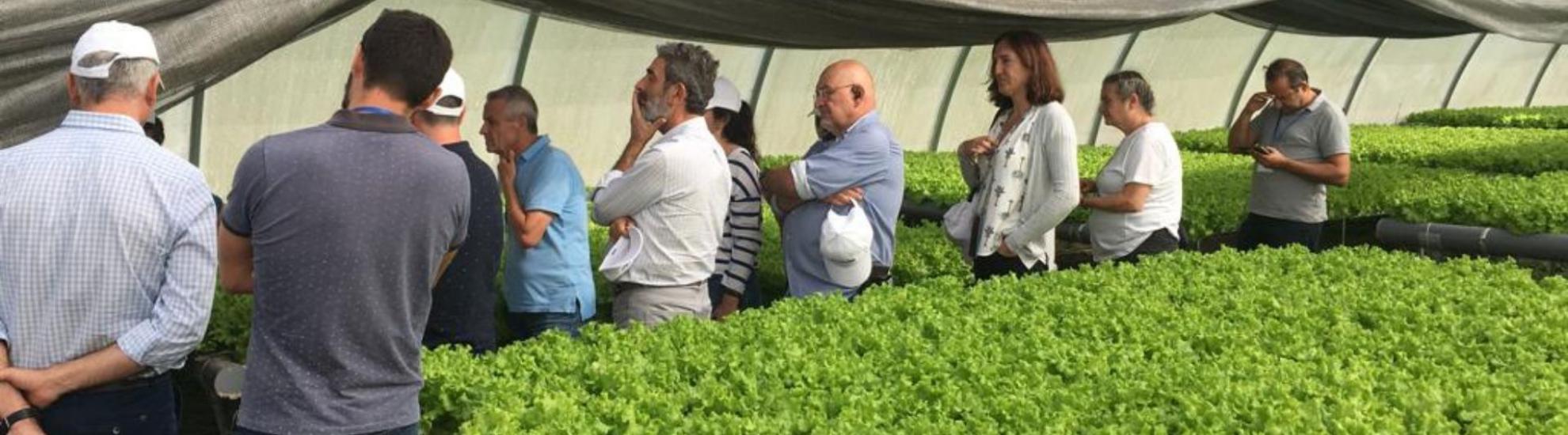 Seminario de Especialistas en Horticultura