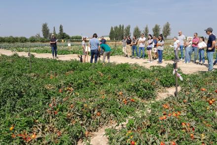 open days