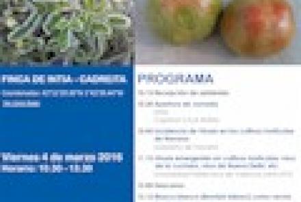 Jornada en la Finca de INTIA en Cadreita sobre Virosis en hortícolas