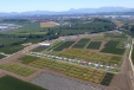 DJI_0259GENVCEP.jpg