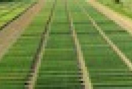 Ya puedes inscribirte a las V Jornadas GENVCE 2017 organizadas por INTIA