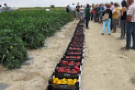 Próximas Jornadas INTIA: Hortícolas de verano en Cadreita, Jornadas técnicas para queserías, Jornada demostrativa de elaboración de compost, Producción ecológica de cereales y leguminosas, etc