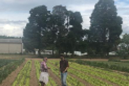 La finca experimental de INTIA en Sartaguda, centro de ensayos de la producción ecológica de Navarra