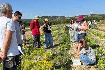 Jornada hortícolas ecológico