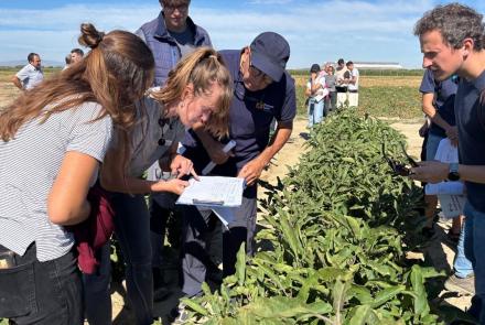 jornada de hortícolas de verano