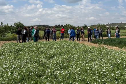 jornada de leguminosas cátedra UPNA-INTIA