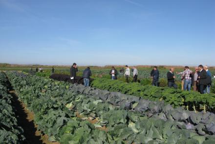 Jornada Cadreita Horticolas Invierno Col