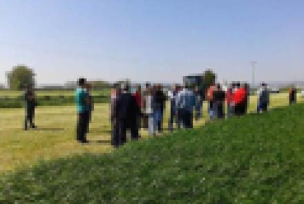 INTIA organizó la II Jornada demostrativa de corte de forraje