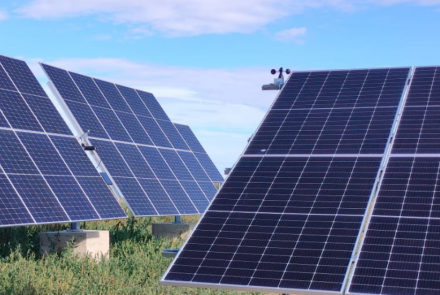 solar cadreita