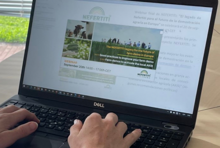 webinar nefertiti