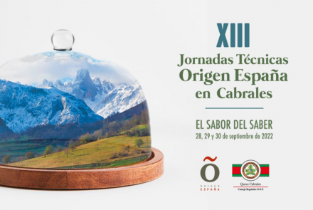queso cabrales
