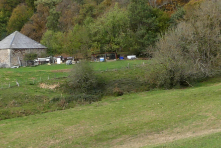 Finca intia RONCESVALLES