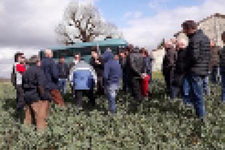 Treinta profesionales de la agricultura navarra visitan explotaciones francesas en un viaje organizado por INTIA