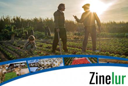 Zinelur