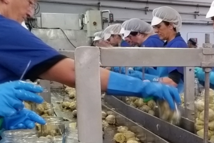AGROINDUSTRIA INTIA