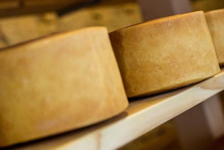 queso INTIA