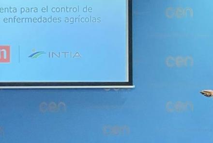 CARMEN GOÑI INTIA