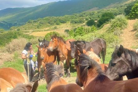 Tamara Moreno INTIA