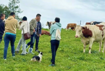 Jovenes en el campo